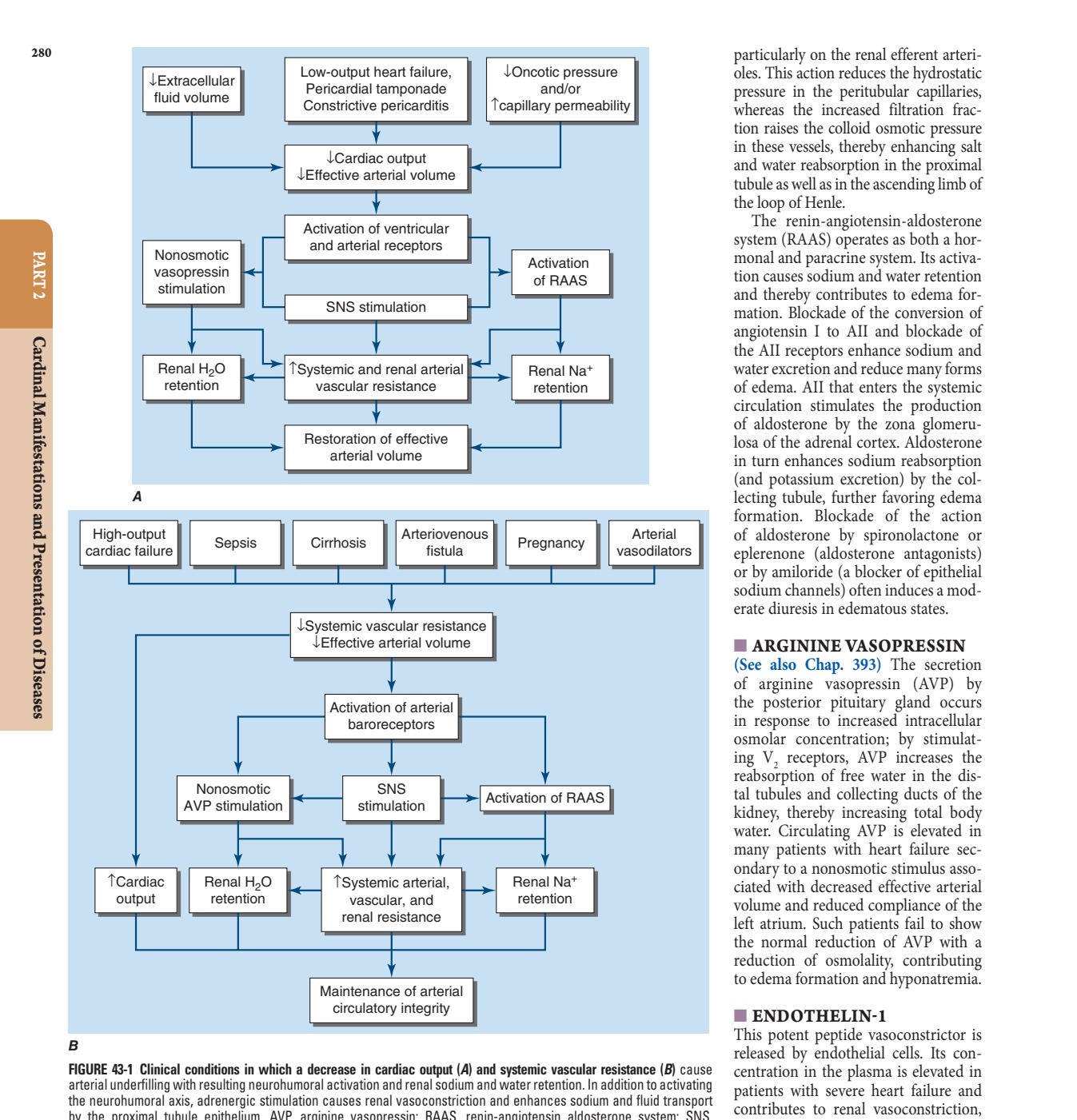 Clinical conditions in which a decrease in cardiac output (A)...