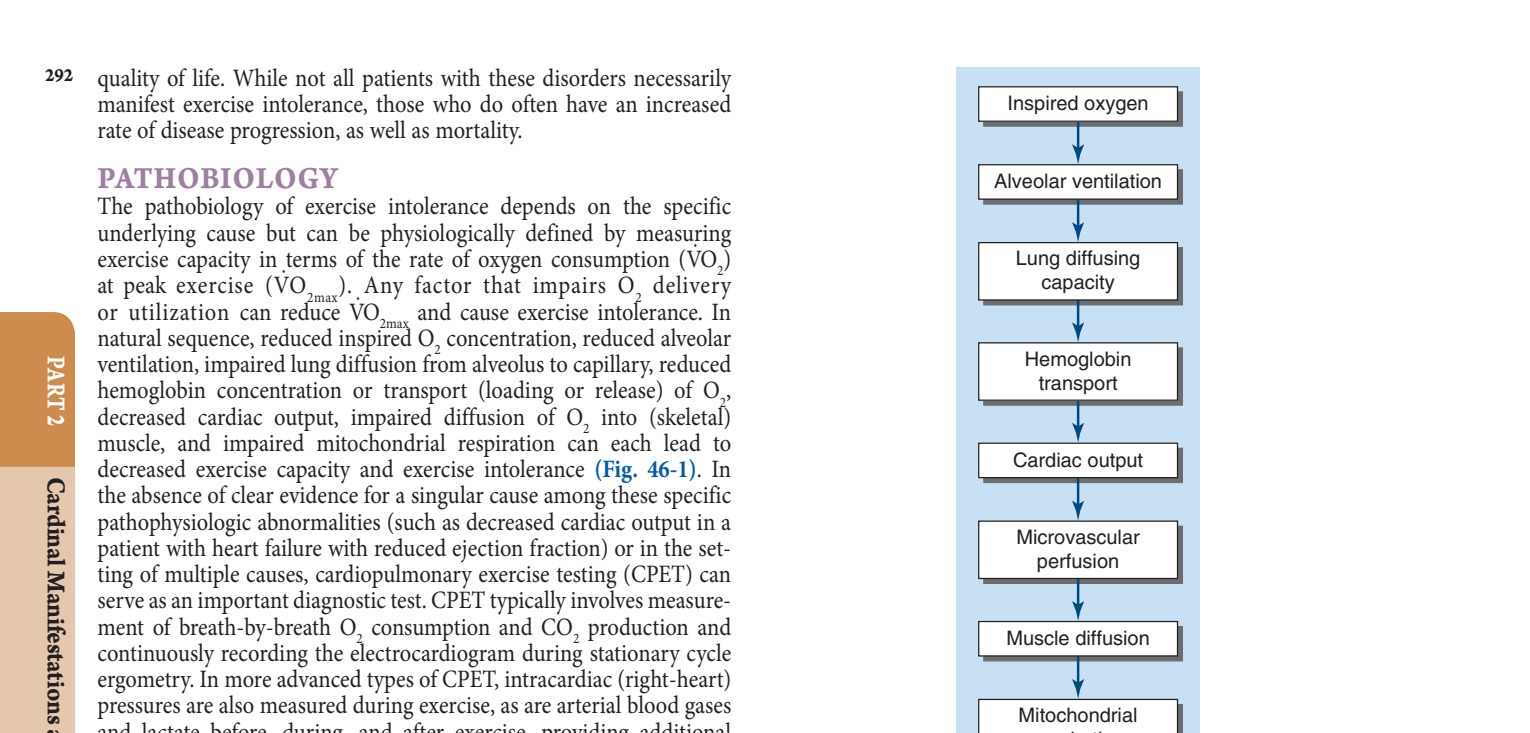 Oxygen delivery and utilization pathway
