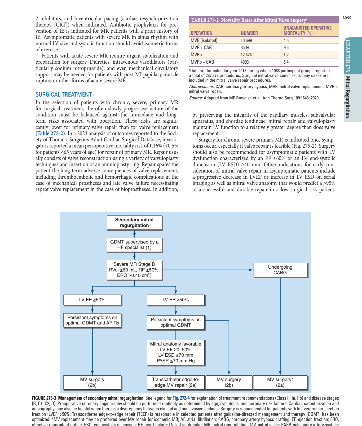 Management of secondary mitral regurgitation