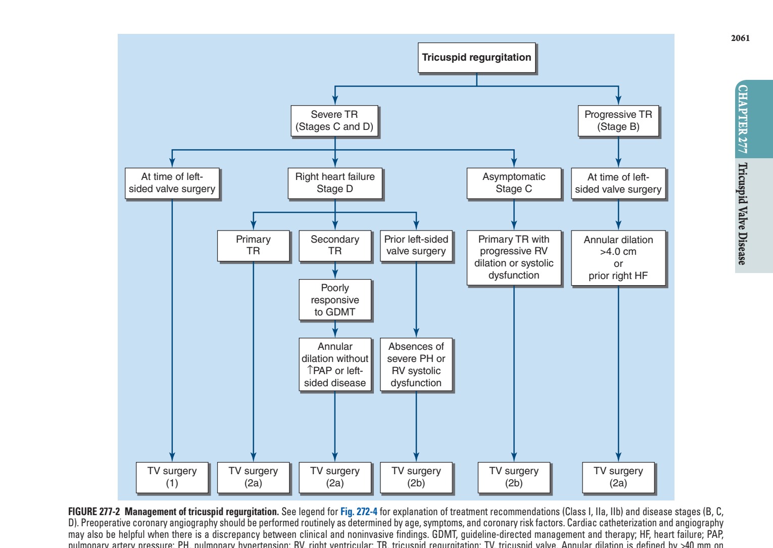 Management of tricuspid regurgitation