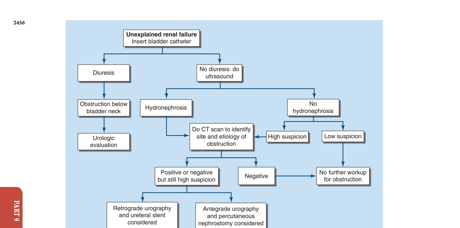 Diagnostic approach for urinary tract obstruction in unexplained renal
