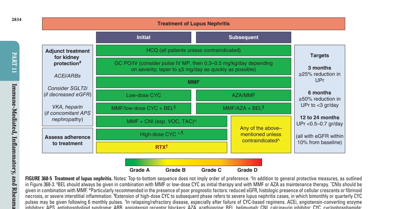 Treatment of lupus nephritis