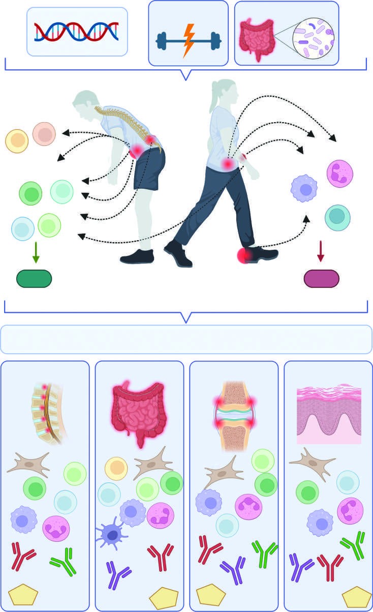 Pathogenesis and signature cytokines across different disease domains from mechanical...