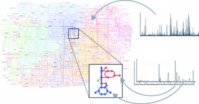 The metabolome is downstream of the outputs measured by other...